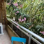 Les Magnolias 06