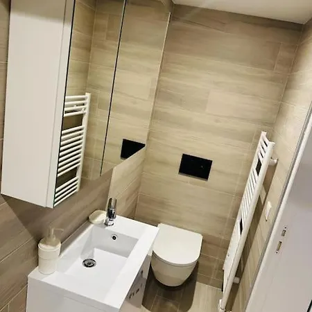 Apartment Renove 3 Avec Parking A *