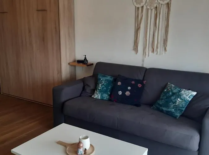 Appartement 3P Avec Garage Proche Aeroport, Tramway Et Avec Toutes Commodites!