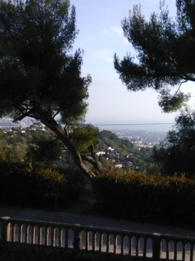 Apartment Nice- Gairaut - Jardin Prive- Grand F1 Lumineux-piscine Collective *