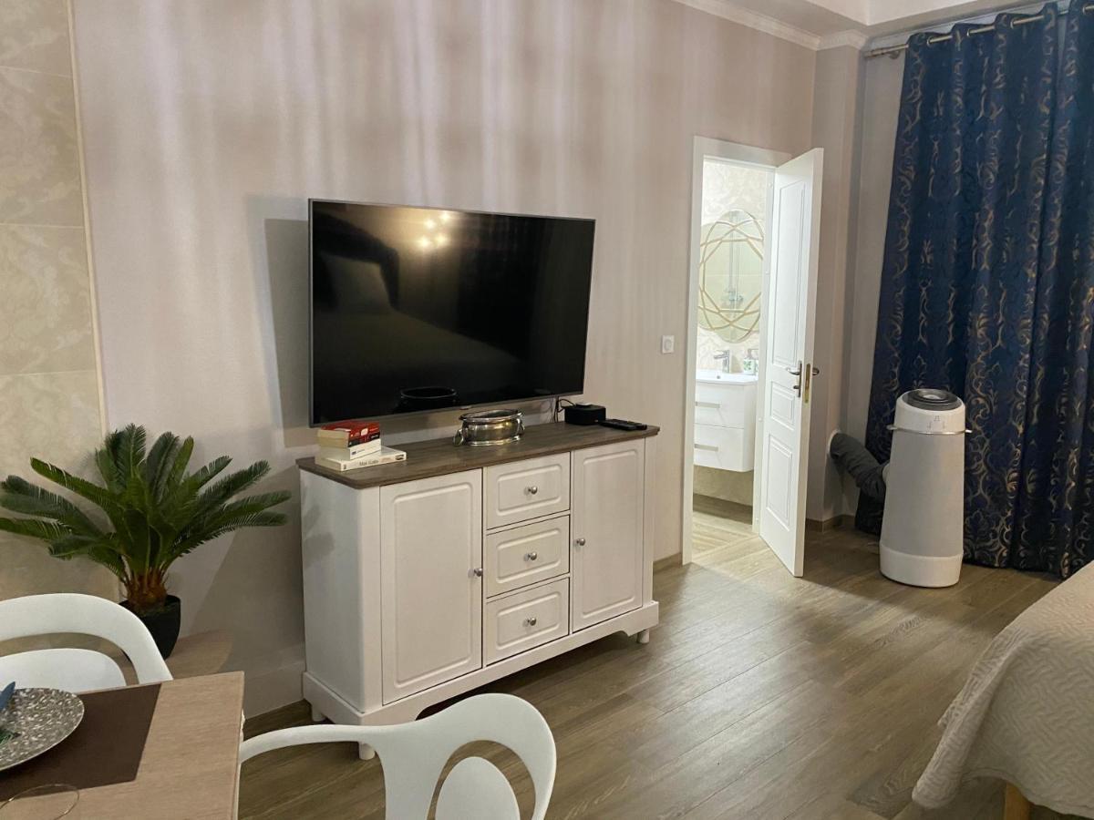 Large Beautiful Near The Negresco Apartment