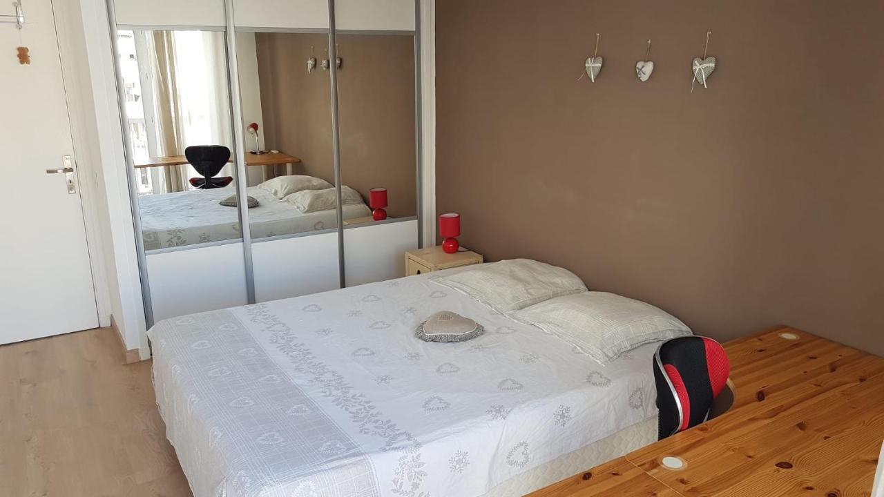 Tres Beau 3 Pieces Spacieux Lumineux Et Climatise Nice