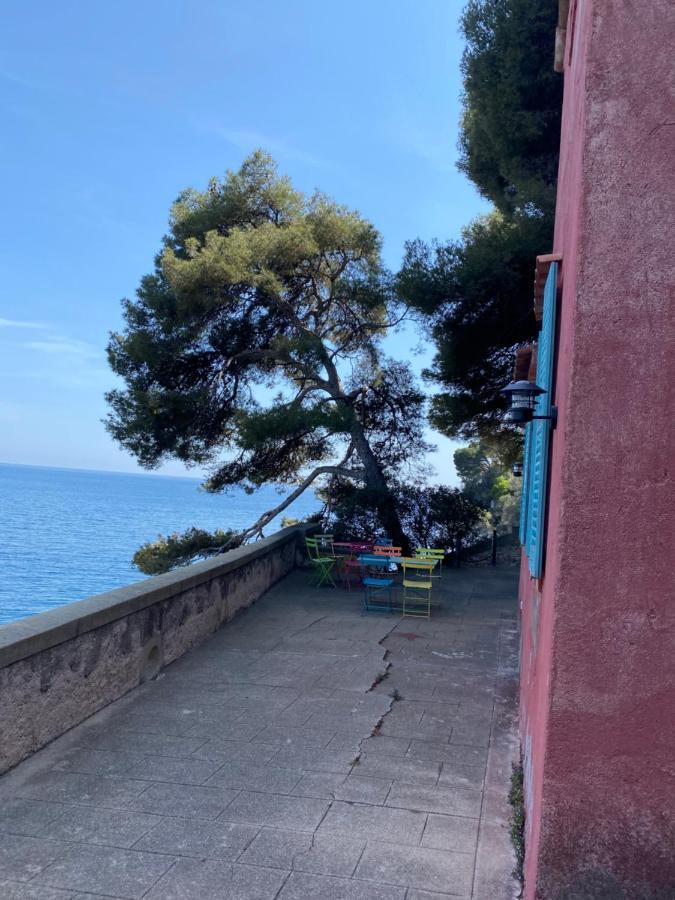 Riviera Dreams Of Life