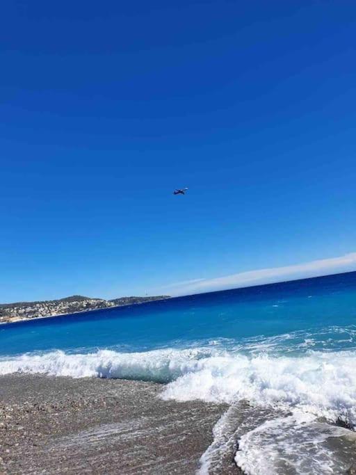 Apartment Nice, 100m Sea, 1 Bedroom, Promenade Des Anglais *