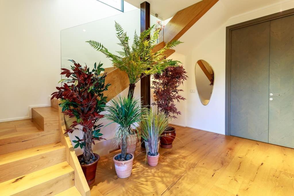 Luxury Villa Nice