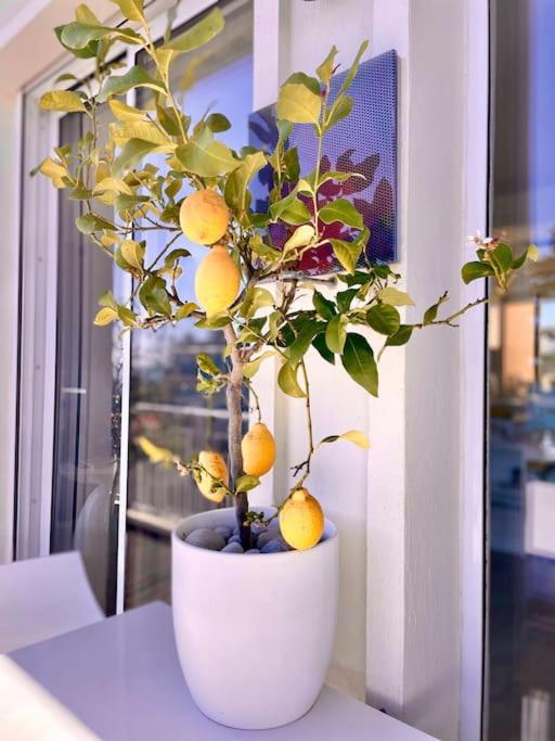 Apartment 2p Bonjour Soleil *