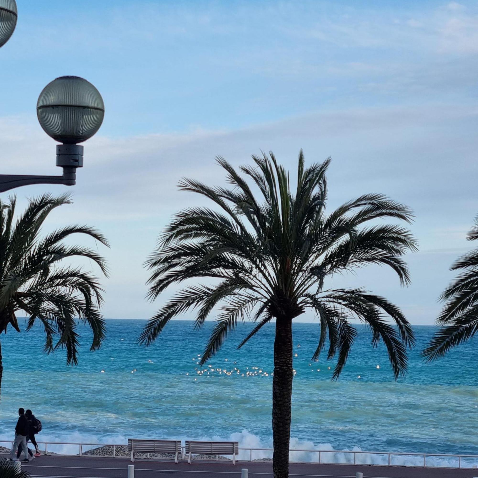 Apartment Sunny Days Nice