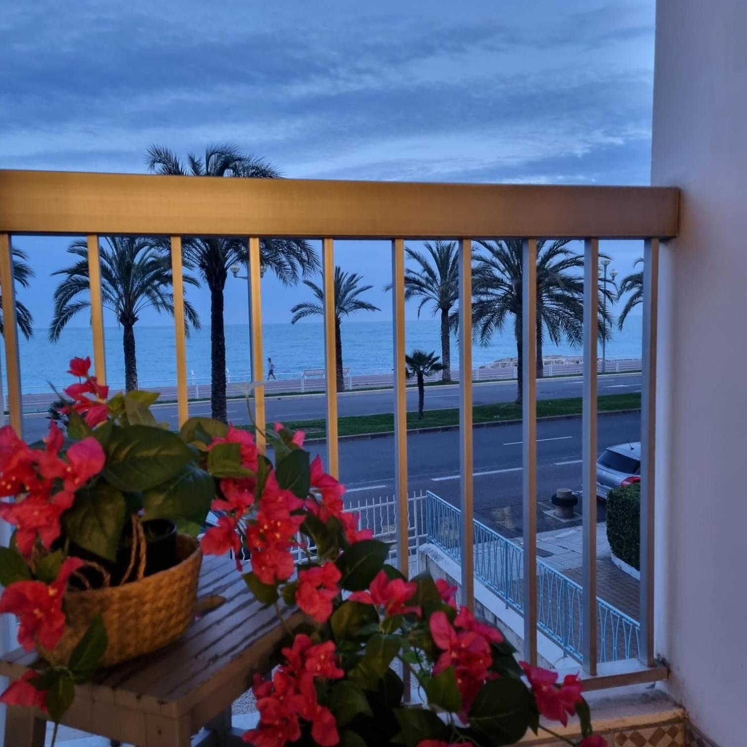 Apartment Sunny Days Nice