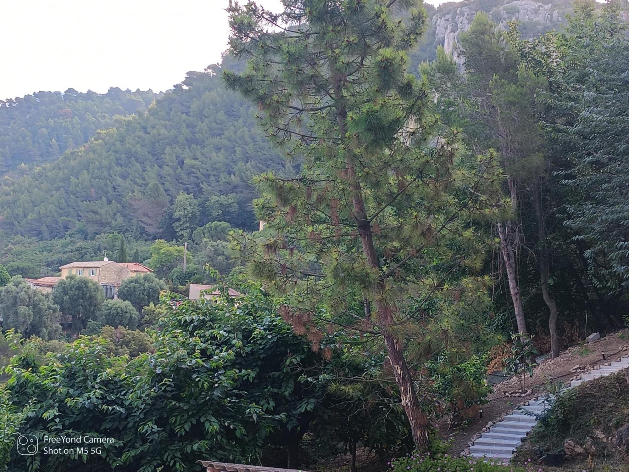Large Chalet At Don Quijote Chalet Nice
