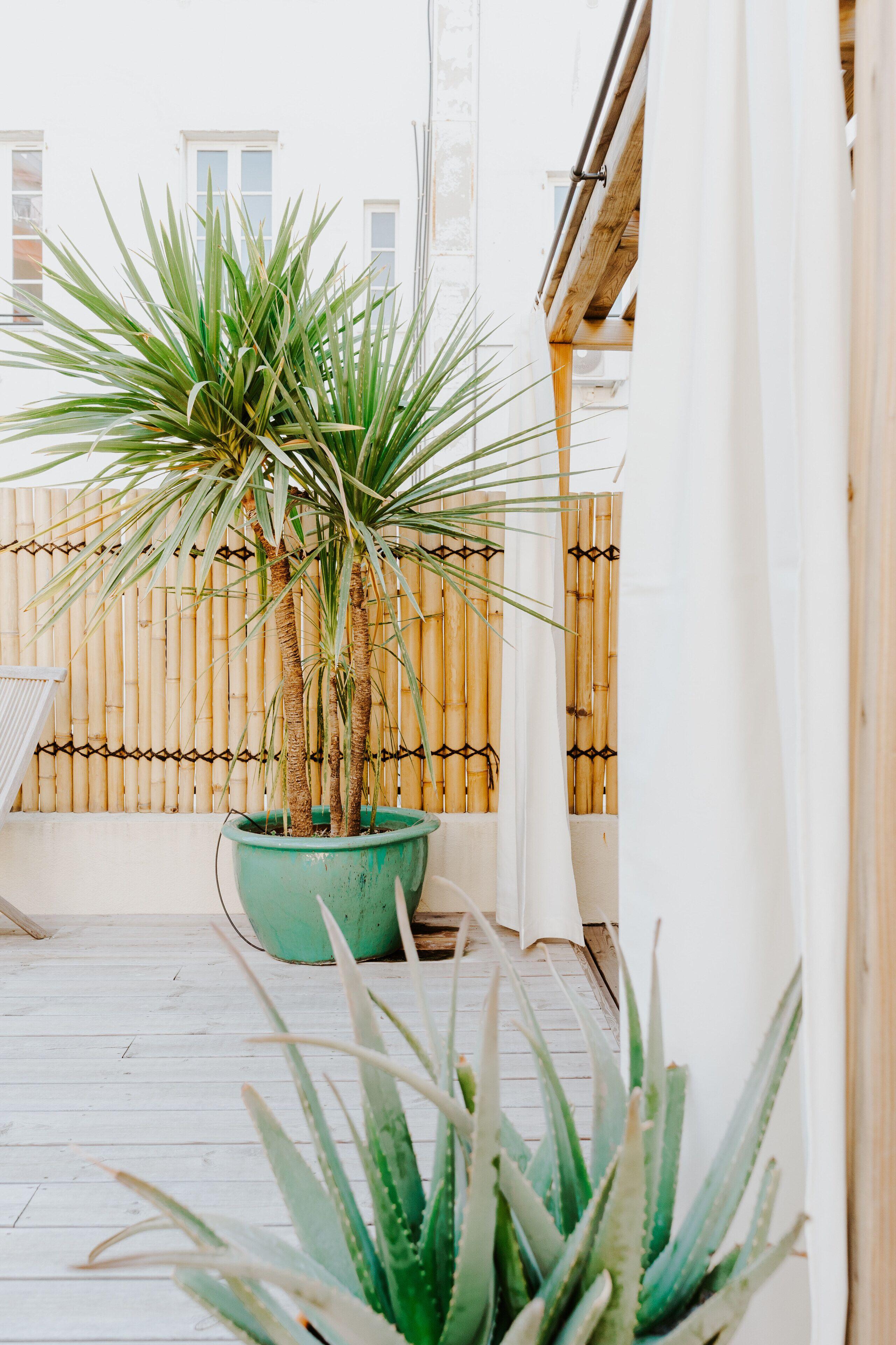 Palm Boutique