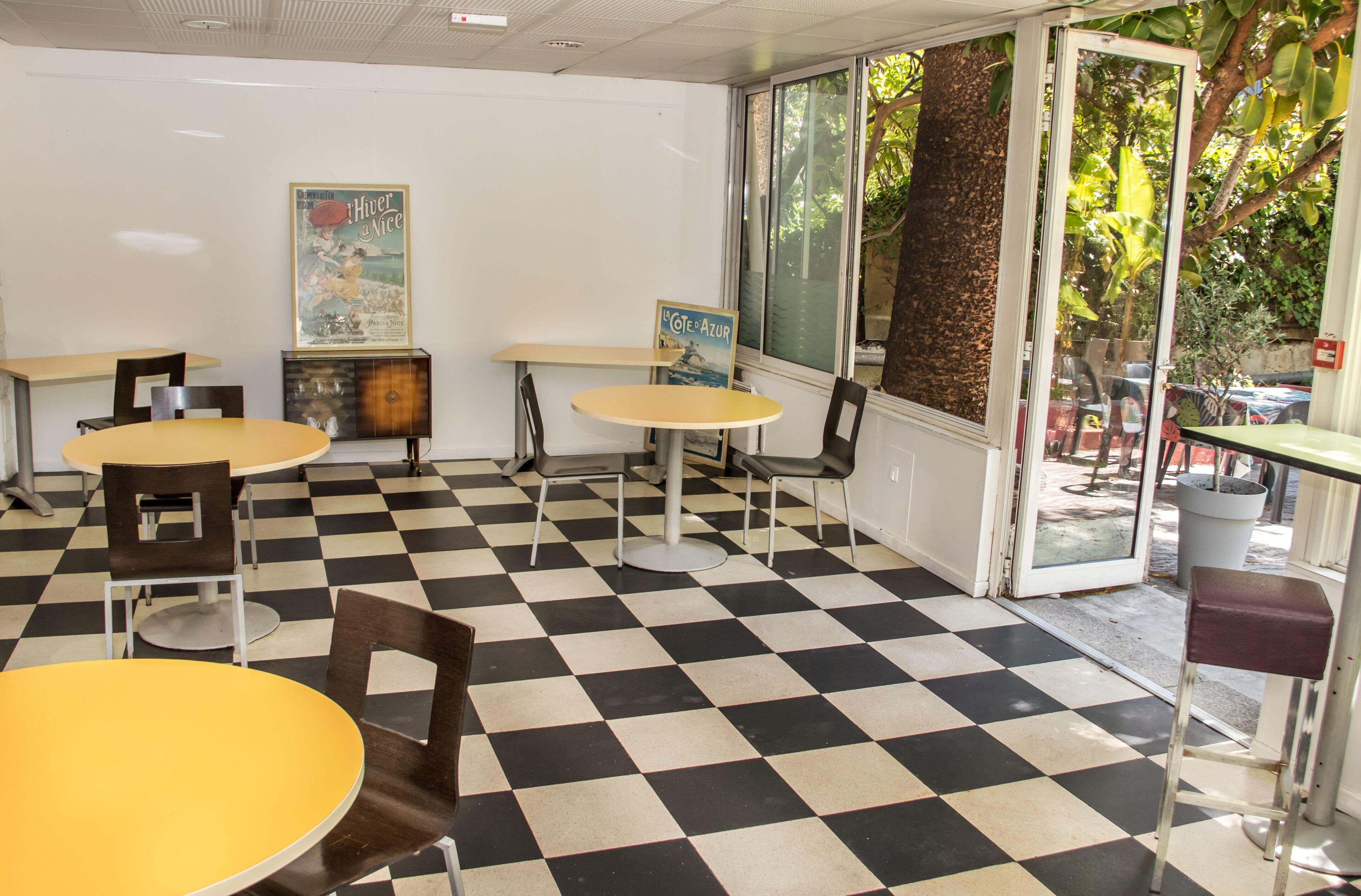 Hi Les Camelias * Nice