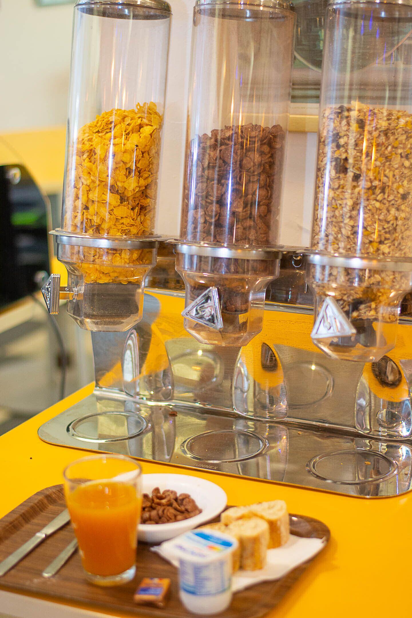 Hi Les Camelias Nice