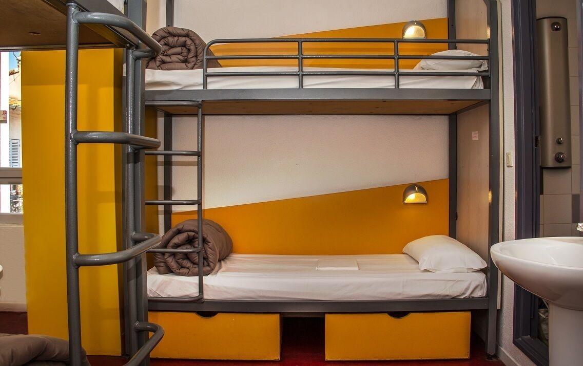 Hi Les Camelias * Nice