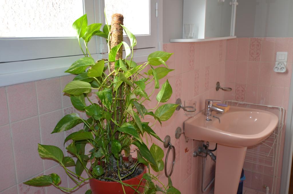 Apartment Imperia