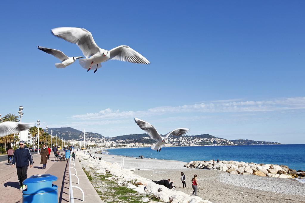 Imperia