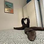 Apartment Joli Spacieux A 3 Min A Pied De La