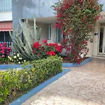 Sea Front View Top Roof Flat