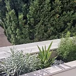 Californie Promenade Des Anglais