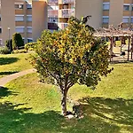 Le Soleil D\'Or