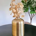 Jazzy Et Spacieux Appartement Prom Des Anglais