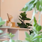 Central Studio - Bright & Modern - Private Terrace - Aircon - Near Train & Beach