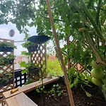 Wonderful Heart Of Nice