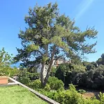 Studio With Terrace, Swimming Pool And Tennis