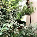 Apart Hotel Riviera - Grimaldi - Promenade Des Anglais