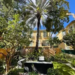 Under The Citrus Trees