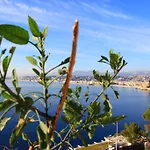 L\'Iris