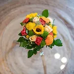 Appartement Musiciens