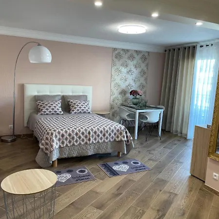 Apartment With Swimming Pool 60 Meters Near The Nice