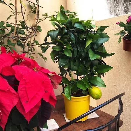 10-15 Min To Railway, Beach, Marketplace Apartment *