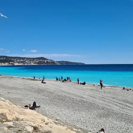 Face Et Plages Avec Terrasse. *