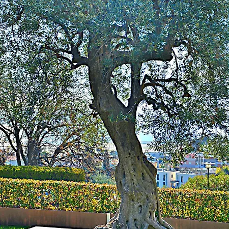 Le Soleil D'or Apartment *