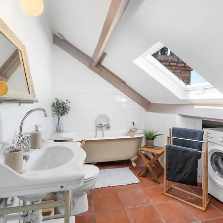 Renting - Gounod - Haven Retreat Under Roof Air-conditioned Apartment Nice