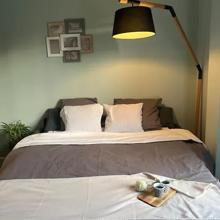 Charming Studio Apartment
