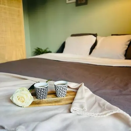 Apartment Charming Studio Nice