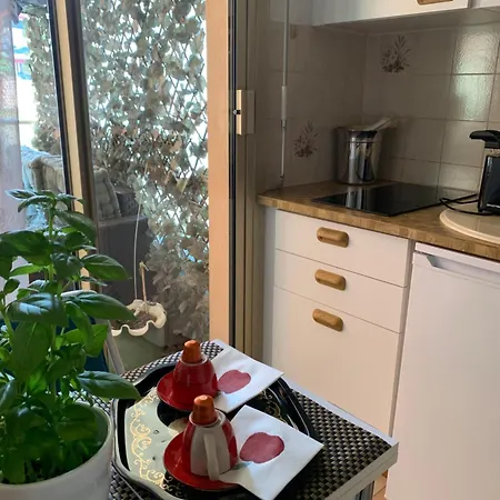 Meuble Plein Centre Apartment