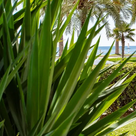 Apartment L54 Staywiz Us -1bdr Promenade Sea View Ac & Balcony *