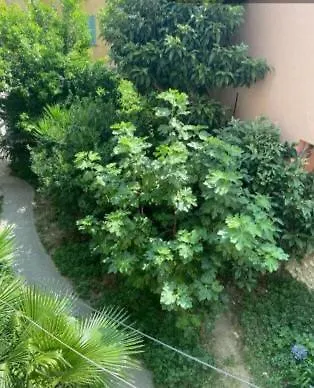 Apartment Bellanica *