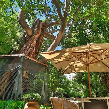 Le Windsor, Jungle Art Hotel 4*