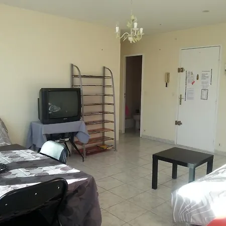 Les Autruches Apartment Nice