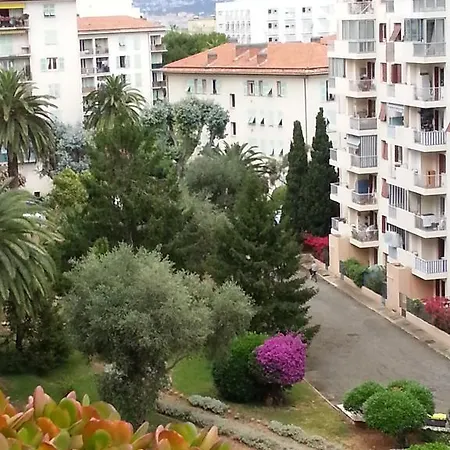 Les Autruches