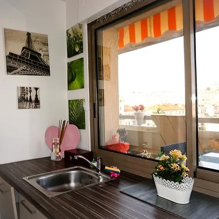 Top Floor And Terrace Nice