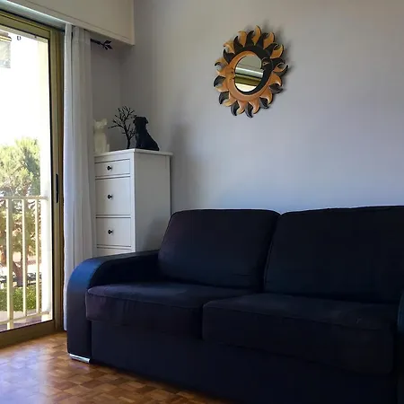 Apartment Le Napoleon 3 *