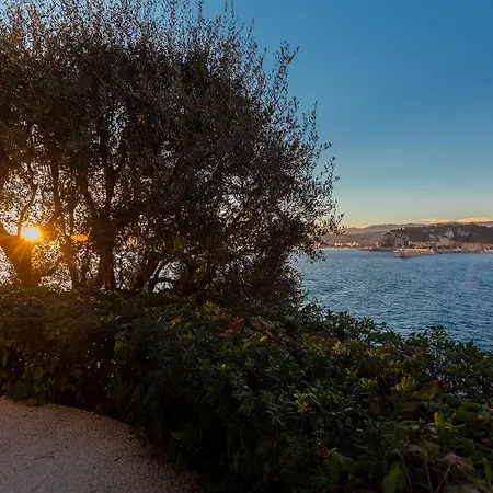 Centragence - Cap De * Nice