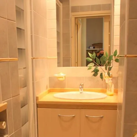 Apartment La Petite France *