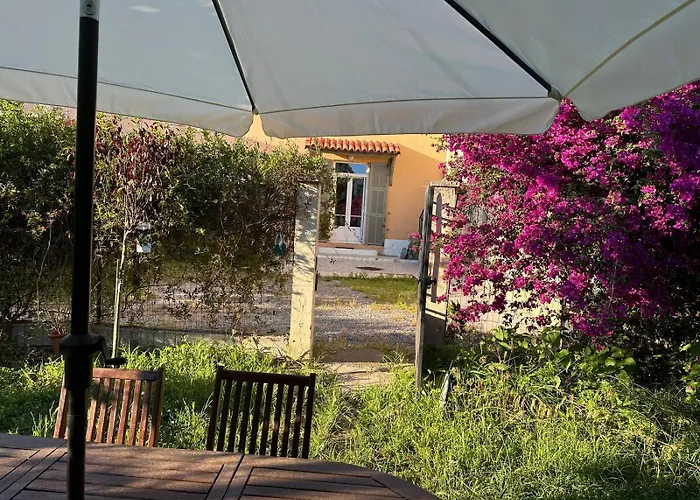 Studio Dans Villa A Nice Ouest