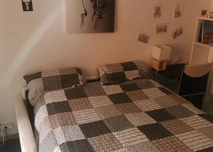 Chambre Chez L\'Habitant - Room In The Owner\'S Apartment